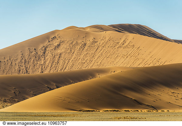 'Large desert sand dunes; Sossusvlei  Namibia'