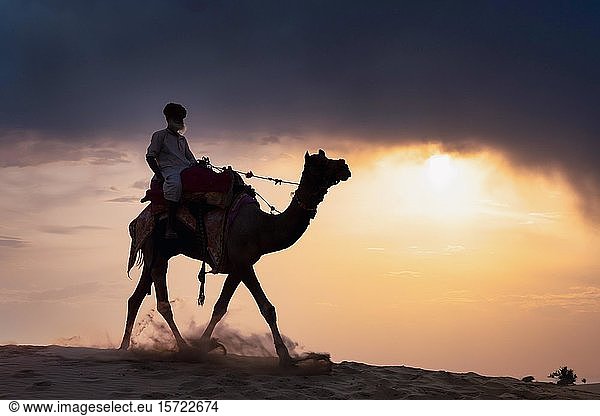 Älterer Mann reitet auf einem Kamel in der Wüste Thar bei Sonnenuntergang  Rajasthan  Indien  Asien