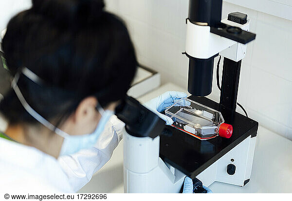 Älterer weiblicher medizinischer Experte  der durch ein Mikroskop schaut  während er medizinische Proben im Labor analysiert