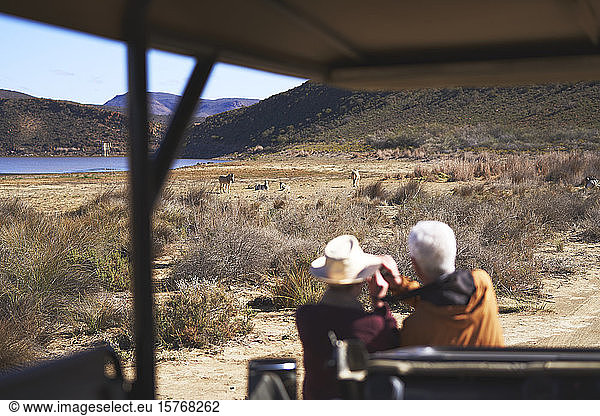 Älteres Paar auf Safari beobachtet Zebras in der Ferne Südafrika