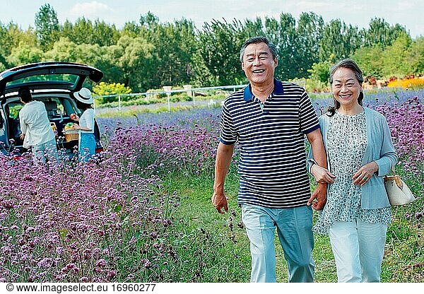 Älteres Paar beim Spaziergang im Blumenmeer