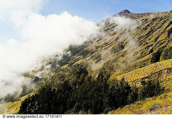 3726m Gipfel des Mount Rinjani  Lombok  Indonesien. Der Aufstieg zum 3726m hohen Gipfel am letzten Tag des dreitägigen Mount Rinjani Trekkings ist bei weitem der schwierigste. Nach dem frühmorgendlichen Start um 3 Uhr ist der größte Teil der 3-stündigen Wanderung (Kraxelei) zum Gipfel des aktiven Vulkans wie ein riesiger Schotterhaufen. 2 Schritte vorwärts  einen Schritt zurück. Aber wenn man den Gipfel des Mount Rinjani erreicht hat  ist es jede Anstrengung wert  denn man wird mit einer Aussicht auf den Sonnenaufgang über die gesamte Insel Lombok  den Mount Agung und den Mount Batur auf Bali  die drei Gili-Inseln (Gili Meno  Gili Trawangan und Gili Air) und  wenn man nach Osten blickt  die Küstenlinie von Sumbawa belohnt  die sich im Sonnenaufgang abzeichnet. Ein einmaliges Erlebnis  das ich jedem  der Lombok besucht  zu 1000% empfehlen würde. Besuchen Sie Lombok nicht  ohne den Mount Rinjani zu besteigen!