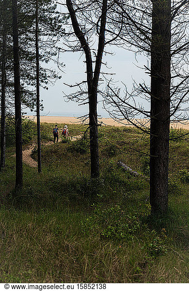 2 Menschen folgen einem Waldweg  der an die Küste von Norfolk führt