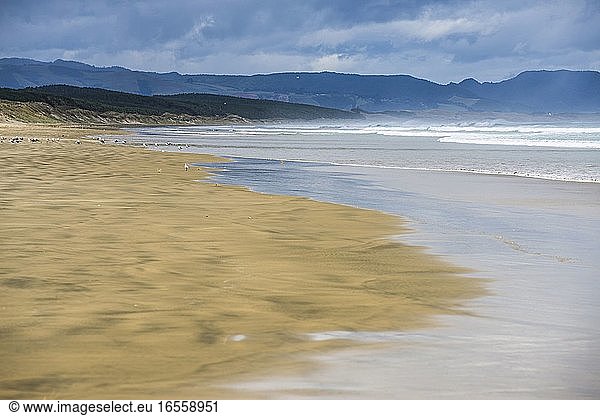 90 Mile Beach  Northland  Neuseeland