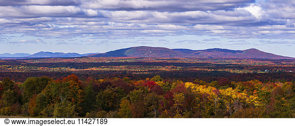 'Mountain range in autumn colours with autumn coloured forest in the foreground; West Bolton  Quebec  Canada'