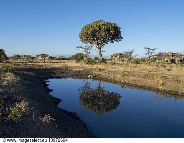 'Ol Pejeda Conservancy; Kenya'