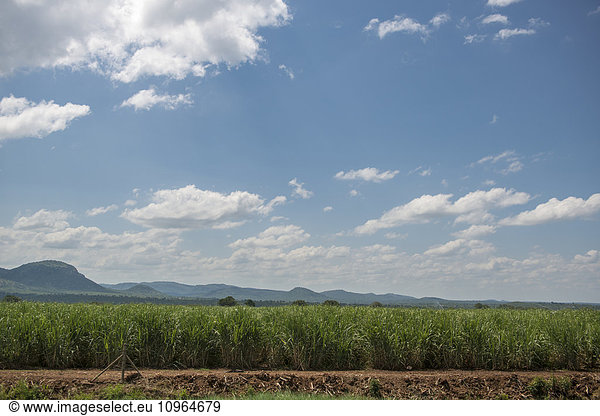 'Open field with mountain range in distance at Kruger National Park; South Africa'