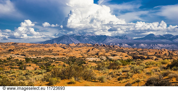 'Petrified Dunes view point  Arches National Park; Moab  Utah  United States of America'
