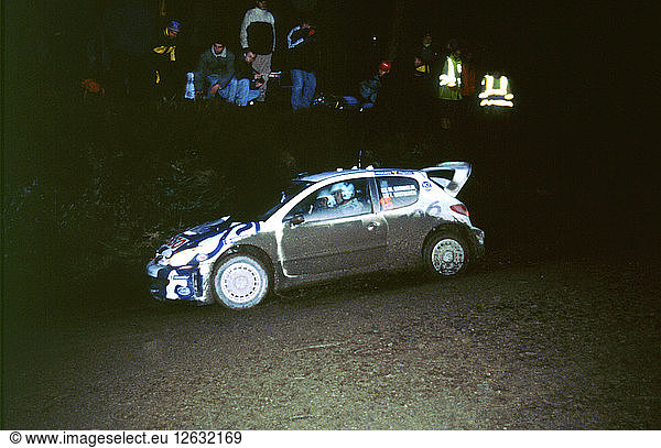 1999 Peugeot 206 WRC Network Q Rally  Gronholm. Künstler: Unbekannt.