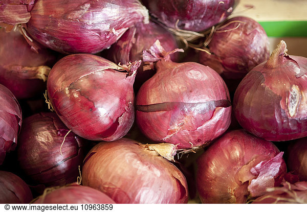 'Pile of red onions; Denton  Maryland  United States of America'