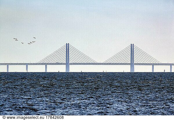 Öresundbrücke  Øresundsbroen zwischen Malmö und Kopenhagen  Architekt Georg Rotne  Vogelschwarm  Textfreiraum  Schweden  Europa