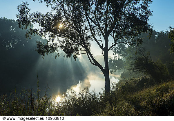 'River at sunset; South Africa'