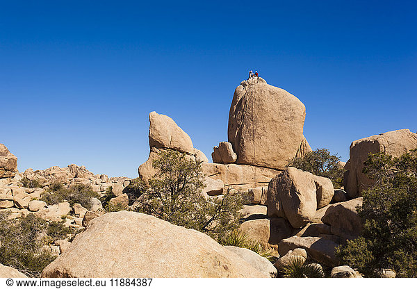'Rock climbers at Joshua Tree National Park; California  United States of America'