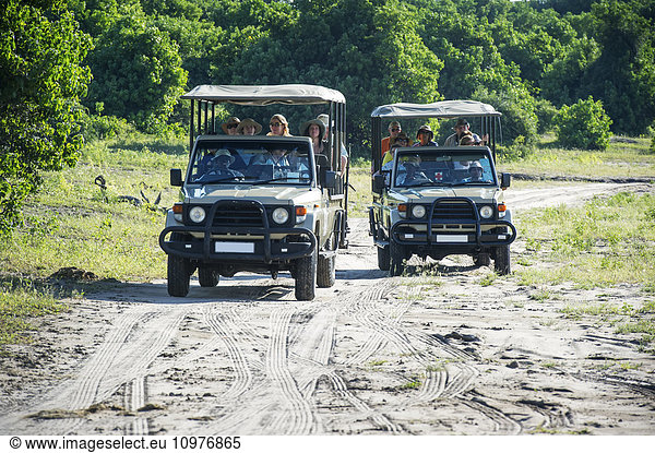 'Safari vehicles  Chobe National Park; Kasane  Botswana'