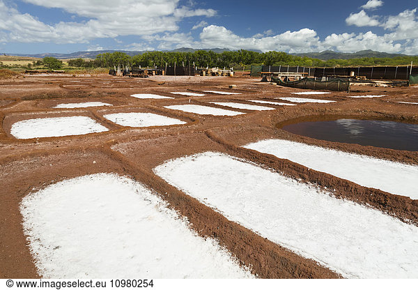 'Salt collection ponds near Hanapepe; Kauai  Hawaii  United States of America'
