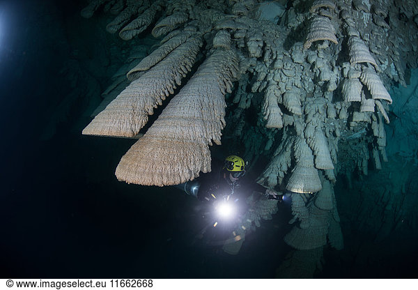 'Scuba diver exploring unique natural formations known as ''bells'' in submerged caves beneath the jungle'