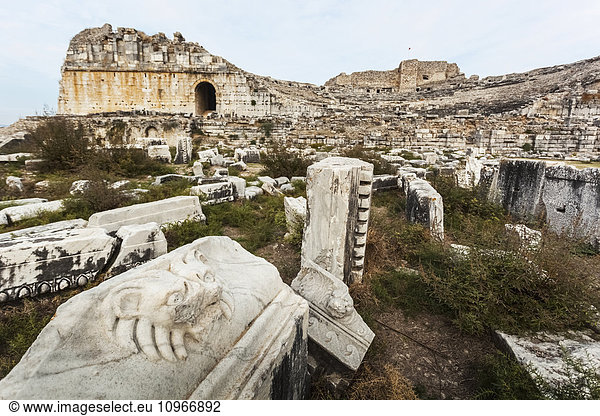 'Sculpture of a lion at the ruins of an amphitheatre; Miletus  Turkey'