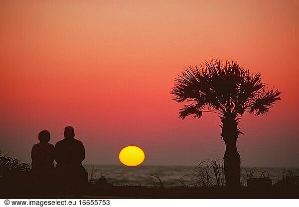 .senior couple view sunset together on Naples Beach  Florida.