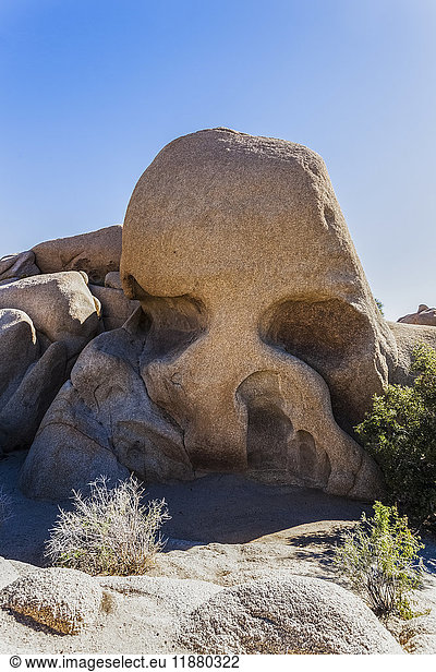 'Skull rock  a rock formation in Joshua Tree National Park; California  United States of America'