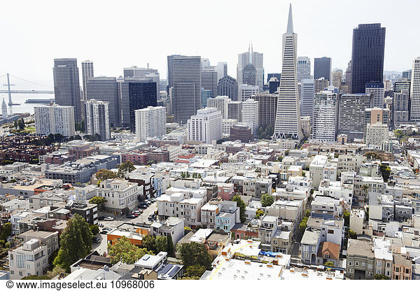 'Skyscrapers in a cityscape of San Francisco; San Francisco  California  United States of America'