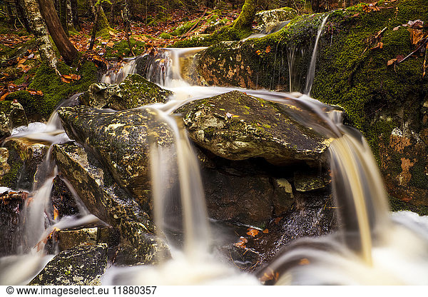'Small waterfall in the woods in autumn; Bedford  Nova Scotia  Canada'