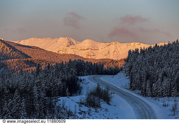 'Snow covered glowing mountains at sunrise with snow covered curved hill road and snow covered evergreen trees and blue sky  West of Bragg Creek; Alberta  Canada'