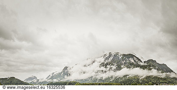 Österreich  Anif  Berghang bei nebligem Wetter