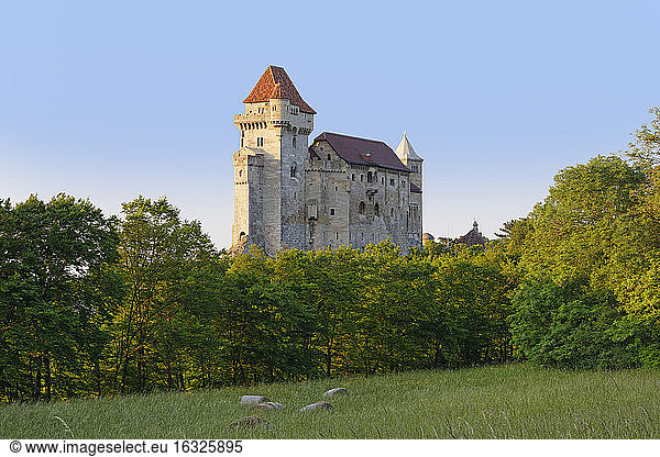 Österreich  Niederösterreich  Maria Enzersdorf  Burg Liechtenstein