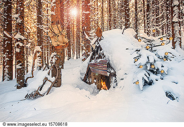 Österreich  Salzburg  Altenmarkt-Zauchensee  Einfacher Weihnachtsbaum vor schneebedeckter Waldhütte bei Sonnenuntergang