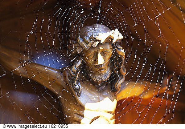 Österreich  Spinnennetz vor der Kreuzigung