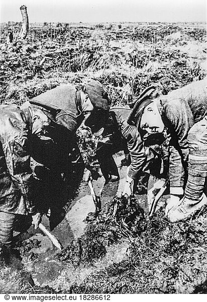 1920 Suchtrupp der Imperial War Graves Commission  CWGC  bei der Ausgrabung von toten Soldaten des Ersten Weltkriegs  die im Ersten Weltkrieg gefallen sind