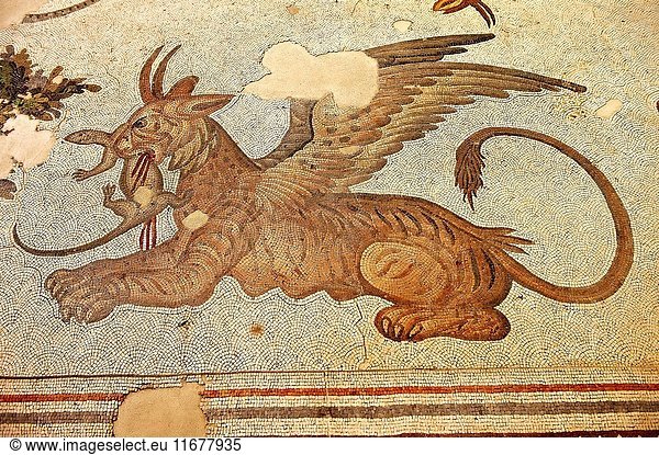6th century Byzantine Roman mosaics of a mythical Griffin from the peristyle of the Great Palace from the reign of Emperor Justinian I. Istanbul  Turkey.