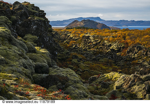 'The autumn colours in Thingvellir National Park; Iceland'