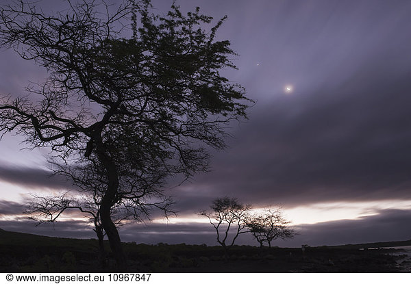 'The moon shines through clouds on the southwestern coast of Maui; Maui  Hawaii  United States of America'