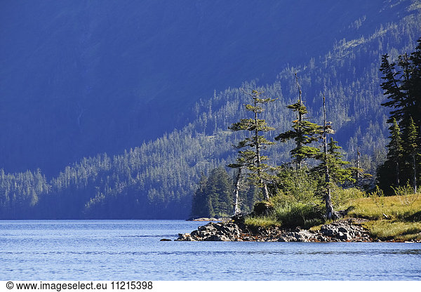 'Three evergreen trees grow on a rocky peninsula in the Culross Passage  forested mountainsides cast shadows in the background  Prince William Sound; Whittier  Alaska  United States of America'