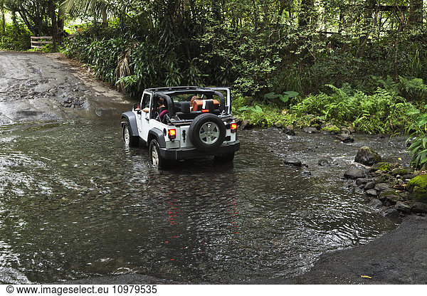 'Tourist 4-wheel drive jeep crosses Waipio River in Waipio River Valley; Waipio  Oahu  Hawaii  United States of America'