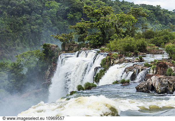 'Trees and rocks next to Iguazu Falls; Parana  Brazil'