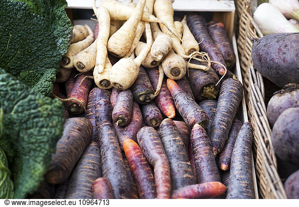 'Turnips at a farmers market; Frankfurt  Germany'