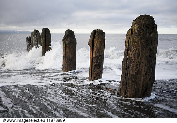 'Waves splashing against wooden tide posts in Kachemak Bay; Alaska  United States of America'