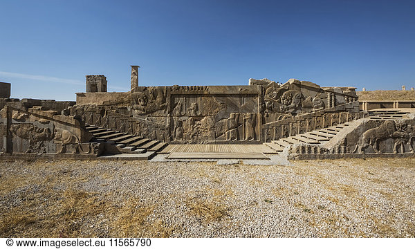 'Western Staircase of the Palace of Darius I (Tachara)  Persepolis; Fars Province  Iran'