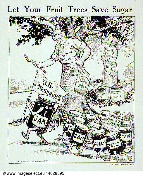 'WWI  ''Let Your Fruit Trees Save Sugar'''