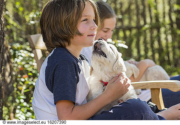 6 year old boy holding an English golden retriever puppy