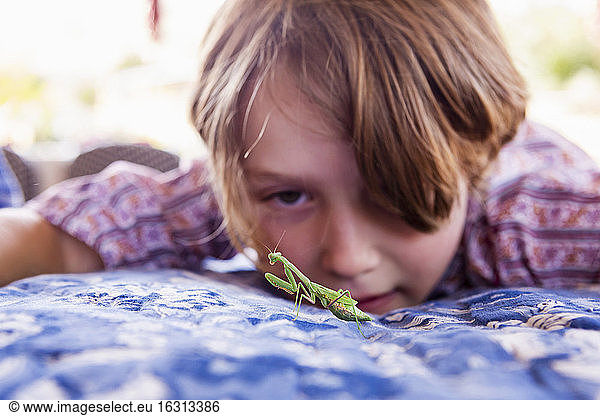7 year old boy looking at a praying mantis