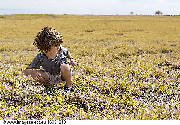 5 year old boy looking at Meerkats  Kalahari Desert  Makgadikgadi Salt Pans  Botswana