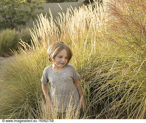 4 year old boy playing in tall grass at sunset