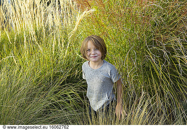 4 year old boy playing in tall grass at sunset