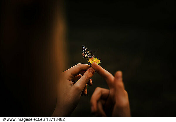9 YEAR OLD HOLDING DANDELION WITH A BUTTERFLY ON IT