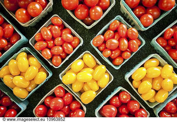 'Yellow and red cherry tomatoes in containers; Denton  Maryland  United States of America'