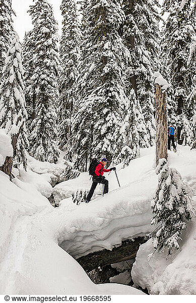 A backcountry skier in the middle of a forest in the Cascades of Washington.