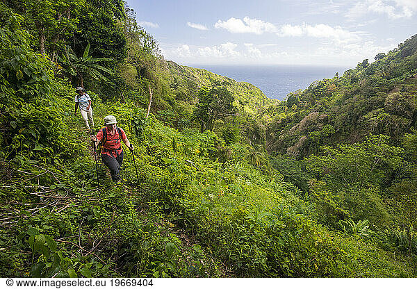 A backpacker and her guide hike along Segment 13 of the Waitukubuli National Trail with the Caribbean Sea in the background on the island of Dominica.